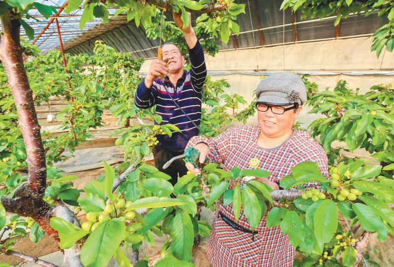 大连三十里堡最新新闻,大连三十里堡最新新闻动态