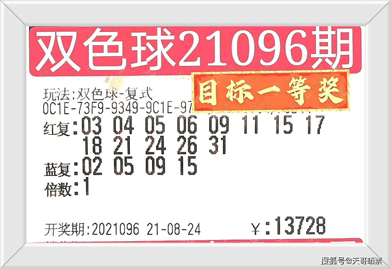 236767澳门今晚开什么号码,澳门今晚开什么号码，探索彩票背后的神秘与魅力