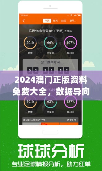 2024新澳正版免费资料,探索2024新澳正版免费资料的无限可能