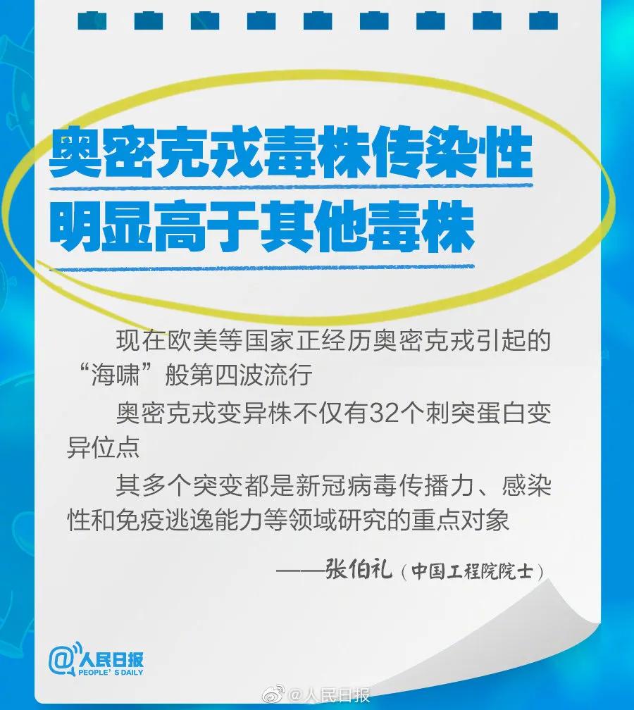 2025新澳资料免费大全,全面解析，2025新澳资料免费大全