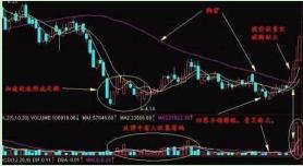 精准一肖100%准确精准的含义,精准一肖，揭秘百分之百准确预测的魅力与含义