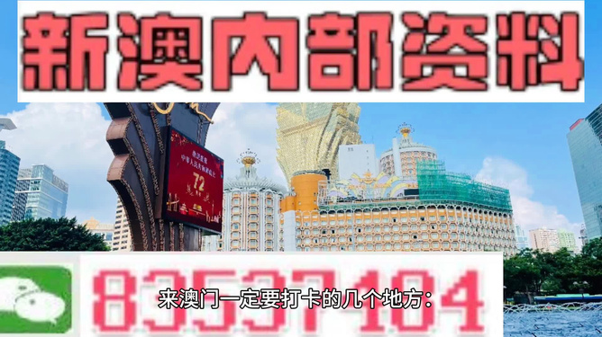 新澳门4949精准免费大全,新澳门4949精准免费大全——揭示违法犯罪的真面目