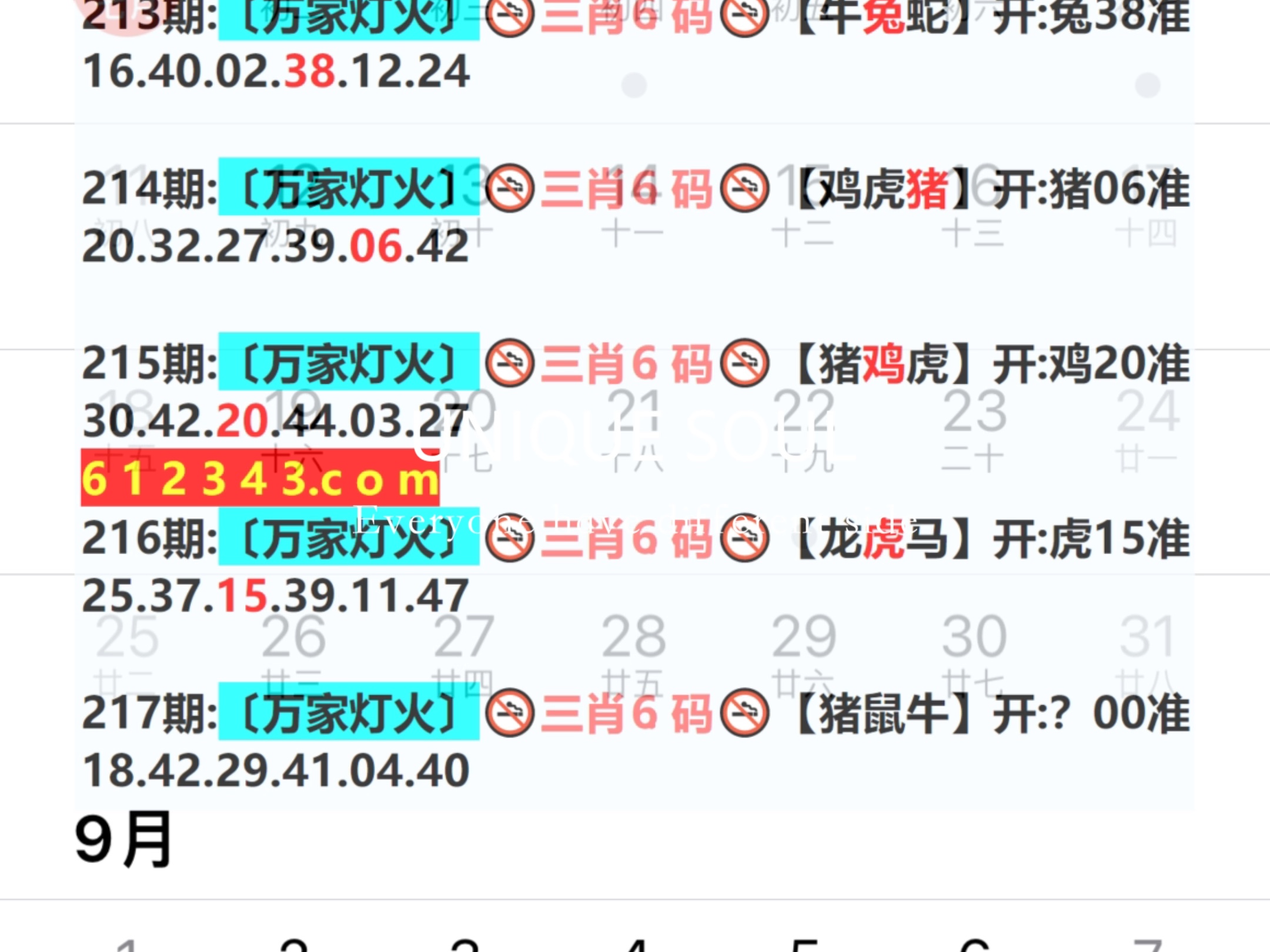 澳门王中王100%期期中146期 11-16-17-37-41-47K：42,澳门王中王期期中奥秘，探索第146期的秘密与数字故事