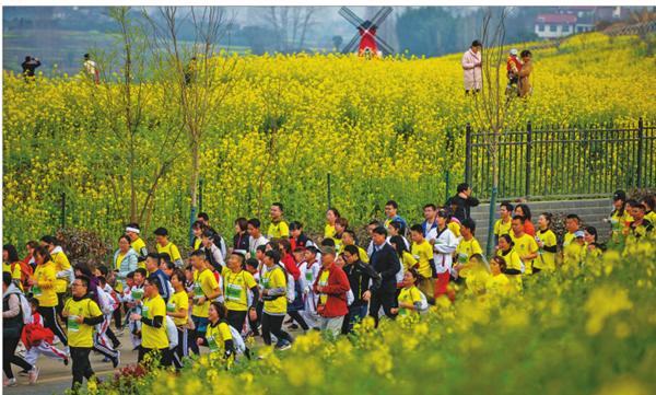 新奥内部长期精准资料102期 03-14-18-19-32-38J：04,新奥内部长期精准资料解析第102期，深度探索数字背后的奥秘与策略