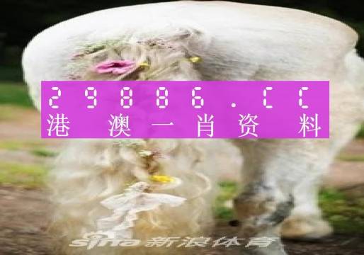 澳门火麒麟一肖一码2025056期 12-16-31-36-38-44D：49,澳门火麒麟一肖一码2025年056期揭晓与深度解读，12-16-31-36-38-44与D，49的神秘数字组合