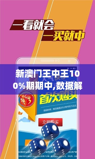 新澳门王中王100%期期中2025081期 05-08-29-33-34-45A：07,新澳门王中王期期中奥秘，探索与解析（以特定期次为例）