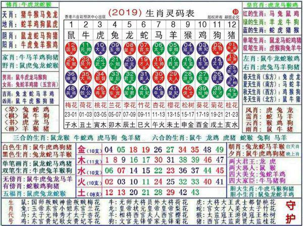 2024澳门正版资料大全资料生肖卡030期 07-15-30-31-33-36C：46,探索澳门正版资料大全——生肖卡030期与神秘数字组合之旅